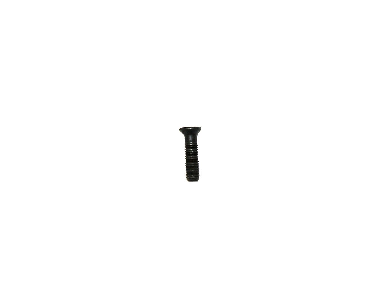 Bosch Part# 2603421229 Torx Flat Head Screw - Genuine OEM