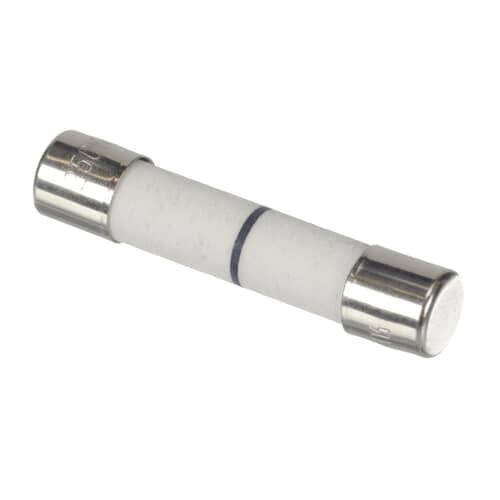 LG Microwave 250V 20A Time Delay Fuse LMV1680BB