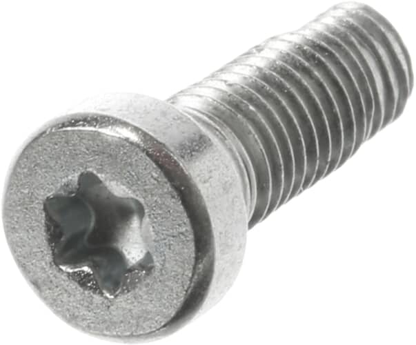 Bosch Screw - 10001388
