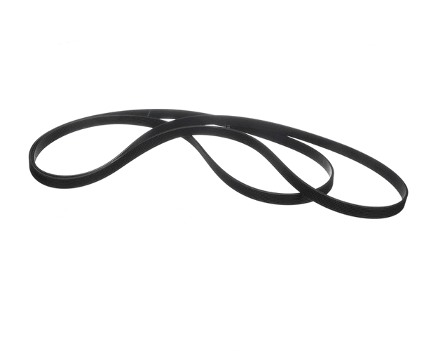 Blomberg Part# 2962470300 Elastic Poly Belt - Genuine OEM