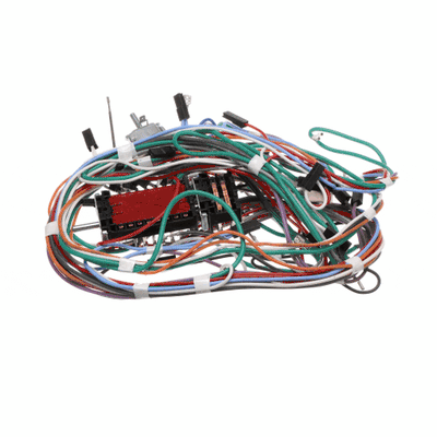 Bertazzoni Part# 6017164 Lamp Wiring - Genuine OEM