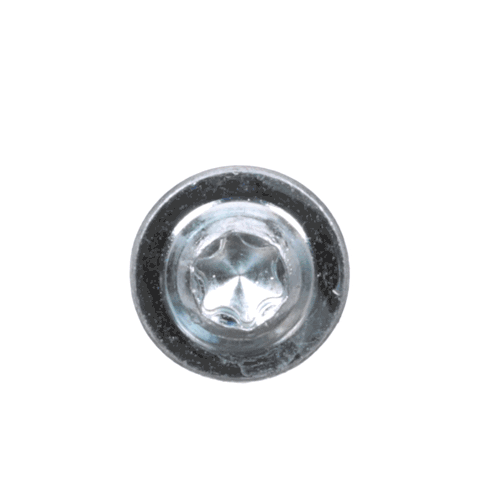 Bosch Part# 1613490010 Torx Oval-Head Screw - Genuine OEM