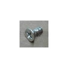 Blomberg Screw (Pt-4X9 5) - 9002900100