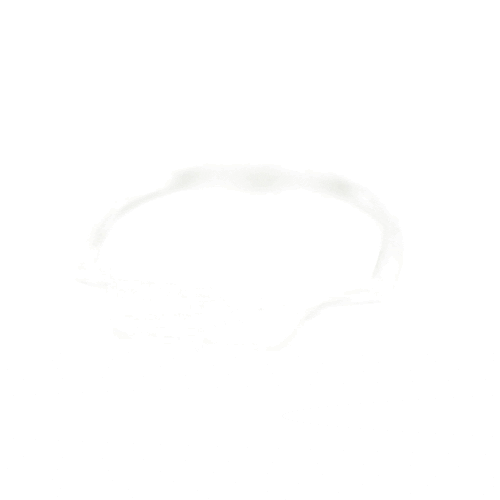 Delonghi Gasket - 5313267091