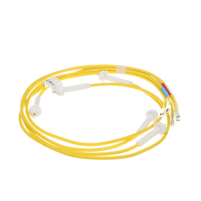 Ge Harnsess Hv And 5 Electrodes - WB18K10059