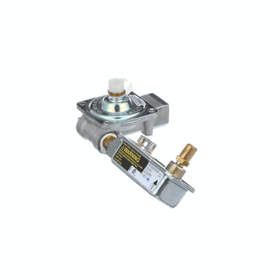 GE Cooking Product Gas Valve and Pressure Regulator WB19K10044