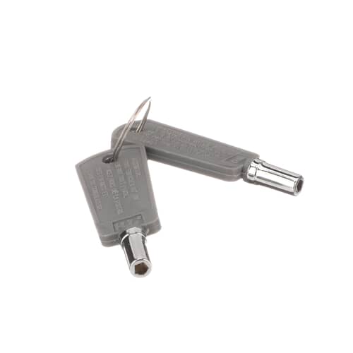 GE Freezer Door Key (2-Pack) FUF14DLRDWW