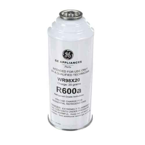 Ge R600A Charge Can 20 Grams - WR98X20