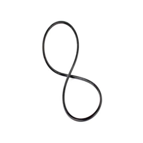 GE Part# WS03X10039 Filter O-Ring (OEM)