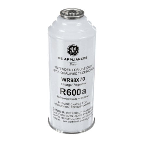Ge R600A Charge Can 70 Grams - WR98X70