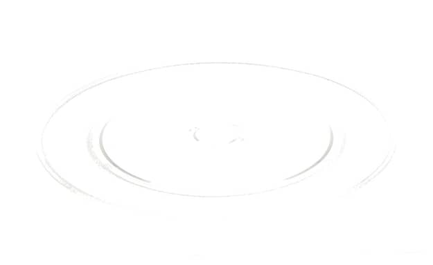 Jenn-Air Microwave Turntable Tray JMC2430IM02