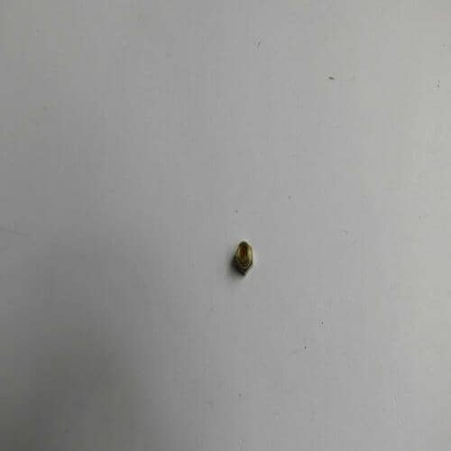 Whirlpool Part# W10657946 Orifice Spud (OEM)