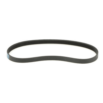 Whirlpool Part# W11239857 Belt (OEM)