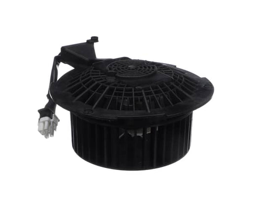 Blomberg Part# 9178010081 Complete Motor - Genuine OEM