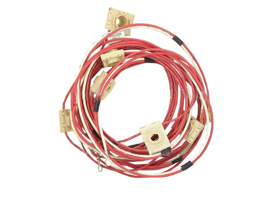 Electrolux Wiring Harness,W/Igntr Switch - 318232638
