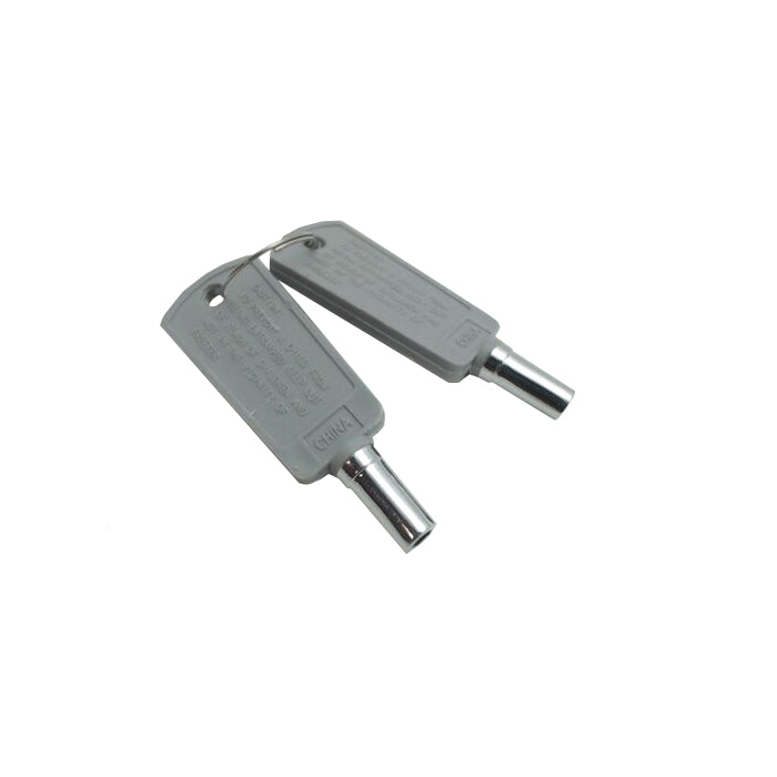 GE Freezer Door Key (2-Pack) FUF14DLRCWW