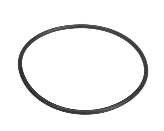 GE Filter O Ring WS03X10038