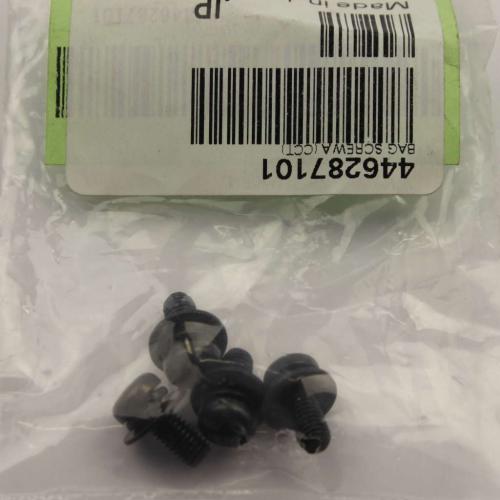 Sony Bag Screw A (Cct) - 4-462-871-01