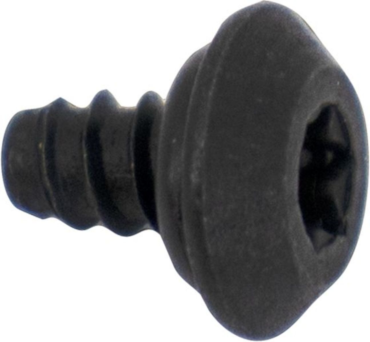 Bosch Oven Screw - 10016308