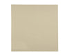 Frigidaire Part# 154359102 Door Panel (OEM) Outside Almond