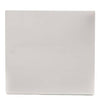 Frigidaire Part# 154538301 Outer Door Panel (OEM) White
