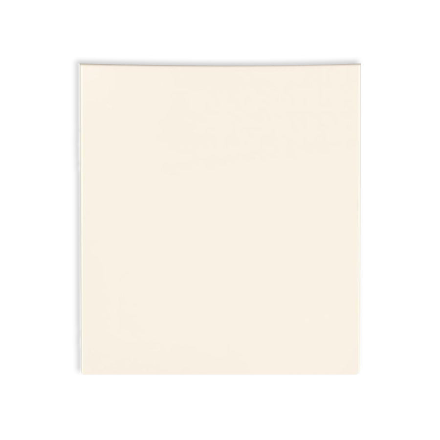 Electrolux Door Assy,Bisque,Outer,W/Dampe - 154597904