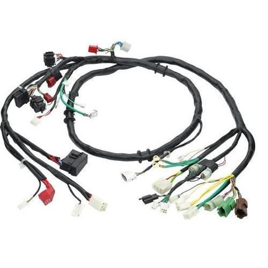 Electrolux Wiring Harness,Main - 318199750