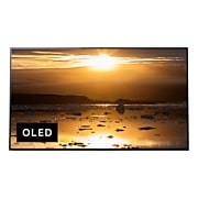 Sony XBR65A1E 65-Inch Oled 4K Ultra Hd Hdr Smart Tv
