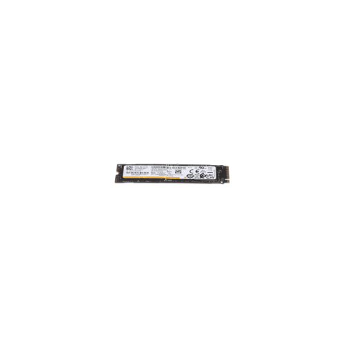 Lenovo Solid State Drives - 5SS0W79493