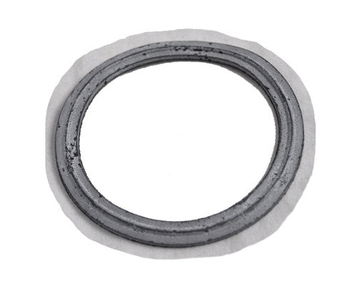 Hoover Gasket Hoover Extractor - 38784062
