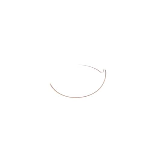 Sony Part# 4-592-801-11 Gap Washer - Genuine OEM