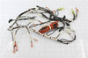 Dacor Part# 72528 Wiring Harness (OEM)
