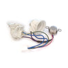 LG Part# 6877JB3036V Water Inlet Wire Assembly - Genuine OEM