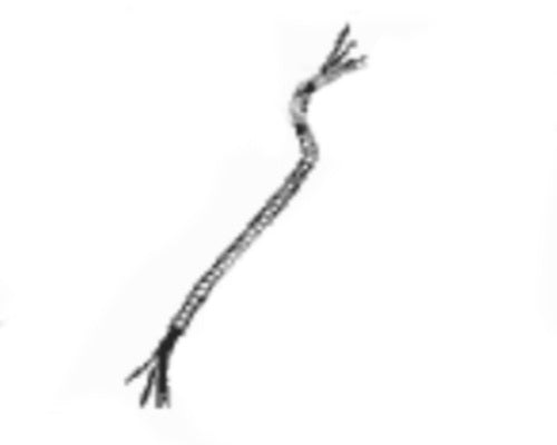 Dacor Lead Wire Kit, Cp227 - 86670