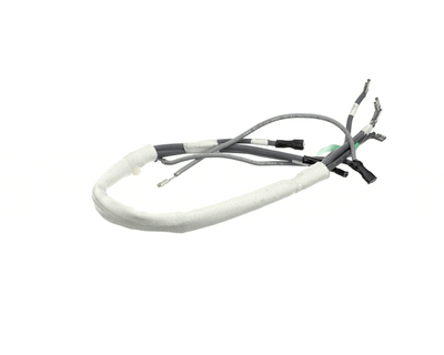 Amana Commerical Harness-Hv - 20094001