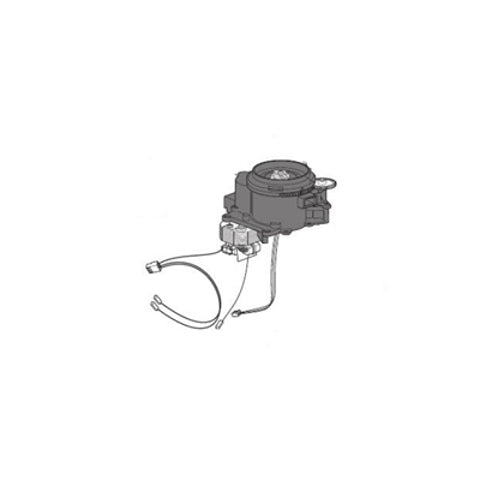 Delonghi Assy Complete Grinder Dl 120V - AS00001630