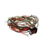 Bertazzoni Part# 6017099 Circuit Diagram - Genuine OEM