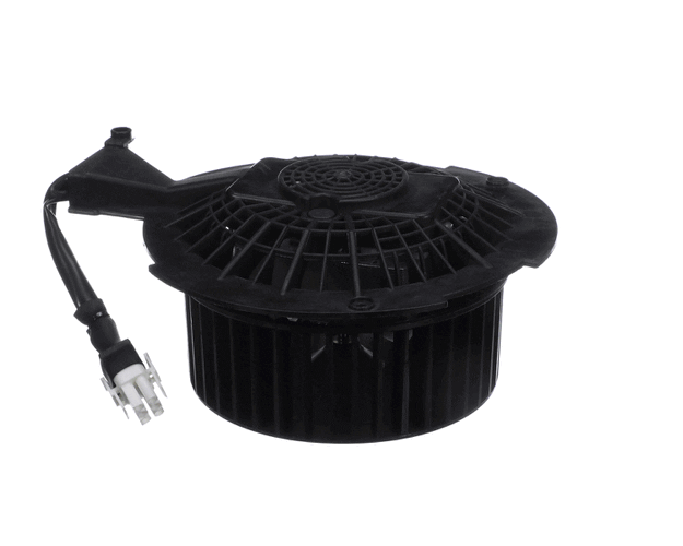 Blomberg Part# 9178010081 Complete Motor - Genuine OEM