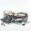 Blomberg Cable Wire Harness - 1739980100
