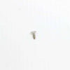 Blomberg Part# 1883460700 Screw (OEM)