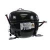 Blomberg Part# 4151231600 Compressor - Genuine OEM