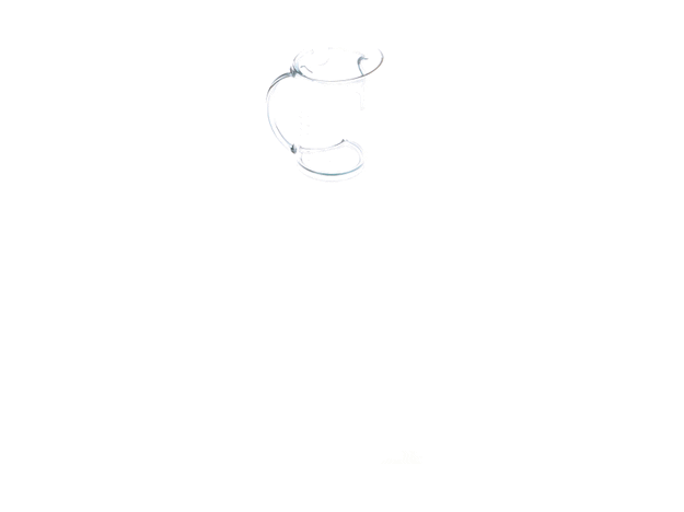 Breville Juice Jug Assembly - SP0000277