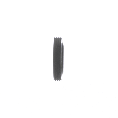 Dewalt Brush Cap - 622441-00