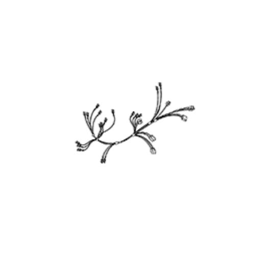 LG Part# EAD62906102 Wire Harness (Single) - Genuine OEM