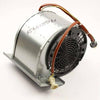 Elica Motors - AGR04489