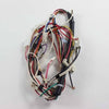Electrolux Harness,Wiring,Main - 5304504853