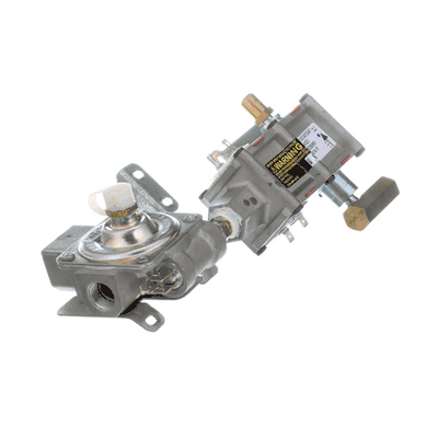 GE Safety Valve and Regulator Assembly WB19K10041