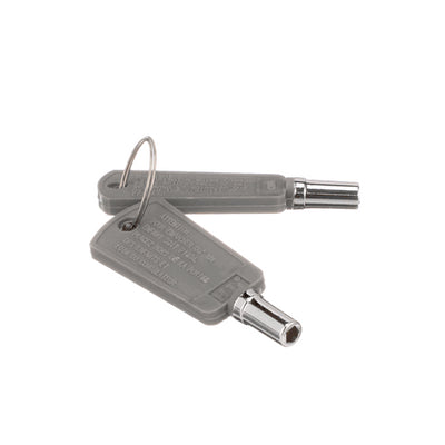 GE Door Key (2-Pack) WR01X29793
