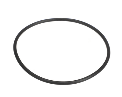GE Filter O Ring WS03X10038