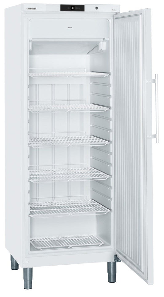 Liebherr GFB19W1HFC Freezers with legs | 377 liters
